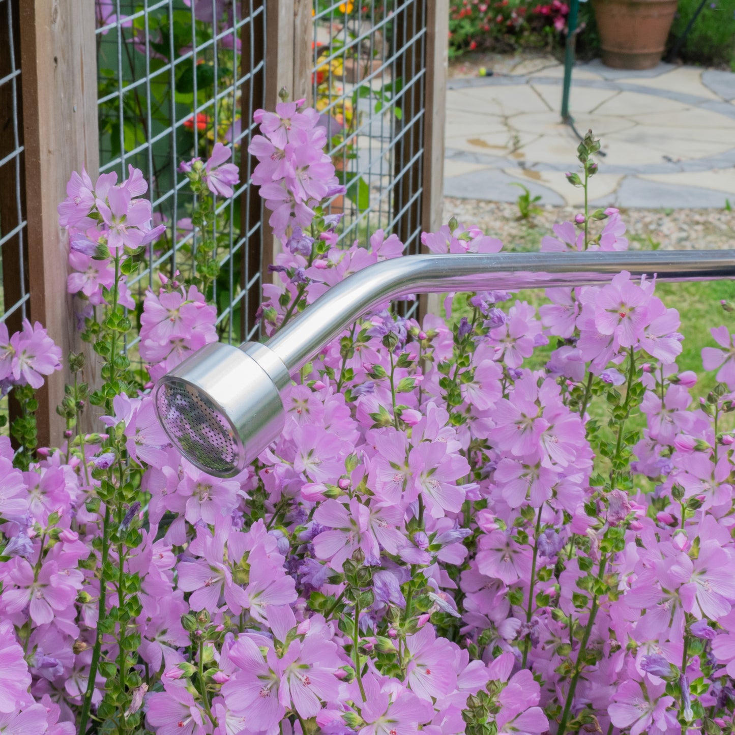 Professional 90cm Watering Lance with Rose & Brass Hose Connector