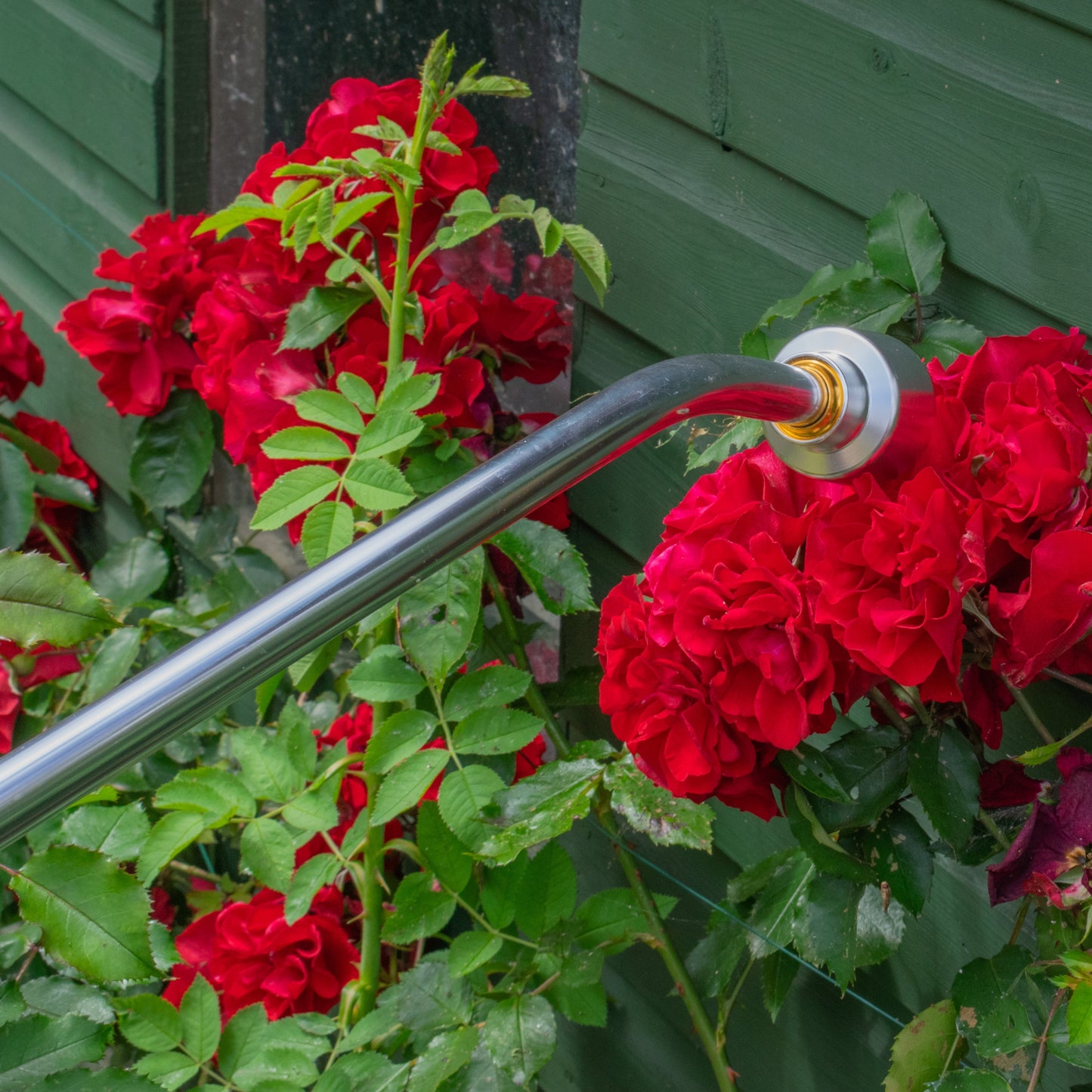 Professional 90cm Watering Lance with Rose & Brass Hose Connector