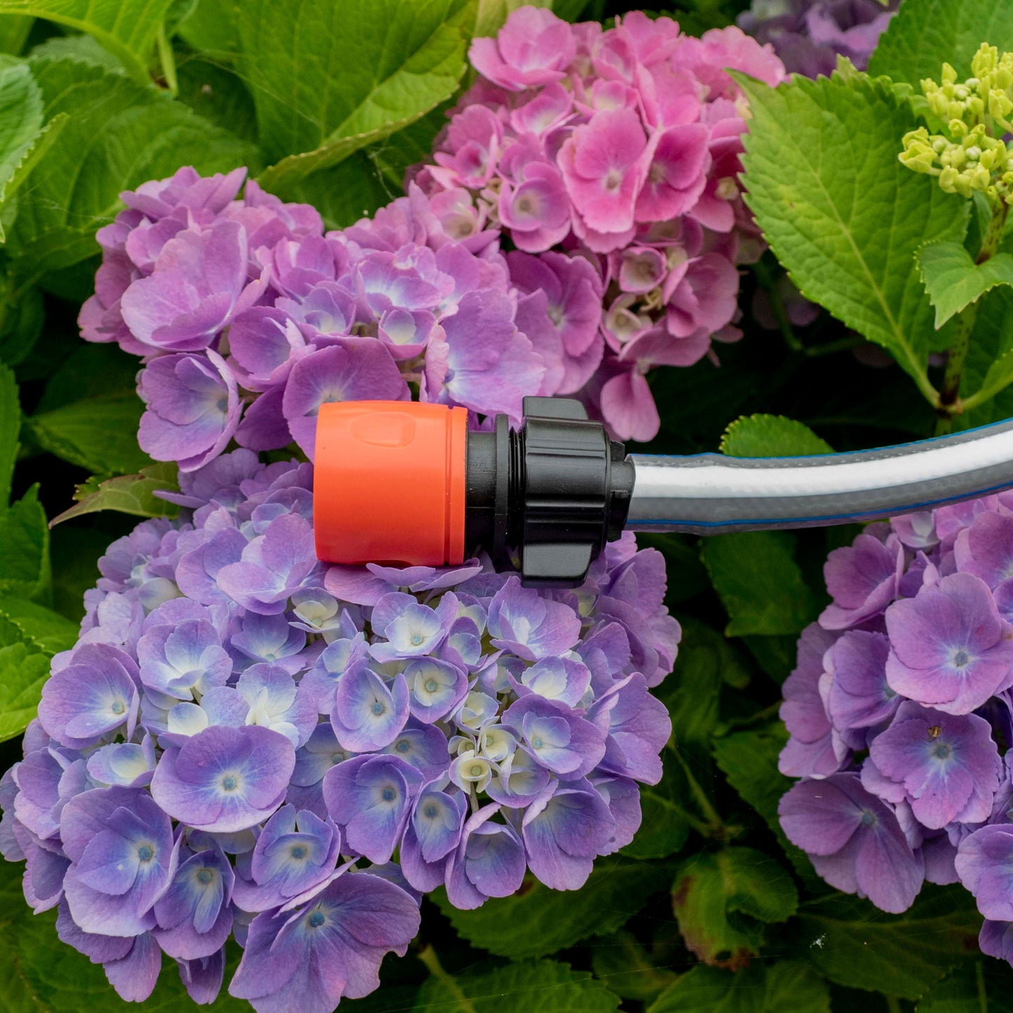 Irrigation 1/2" Barb to Female Hosepipe Quick Connector, Black