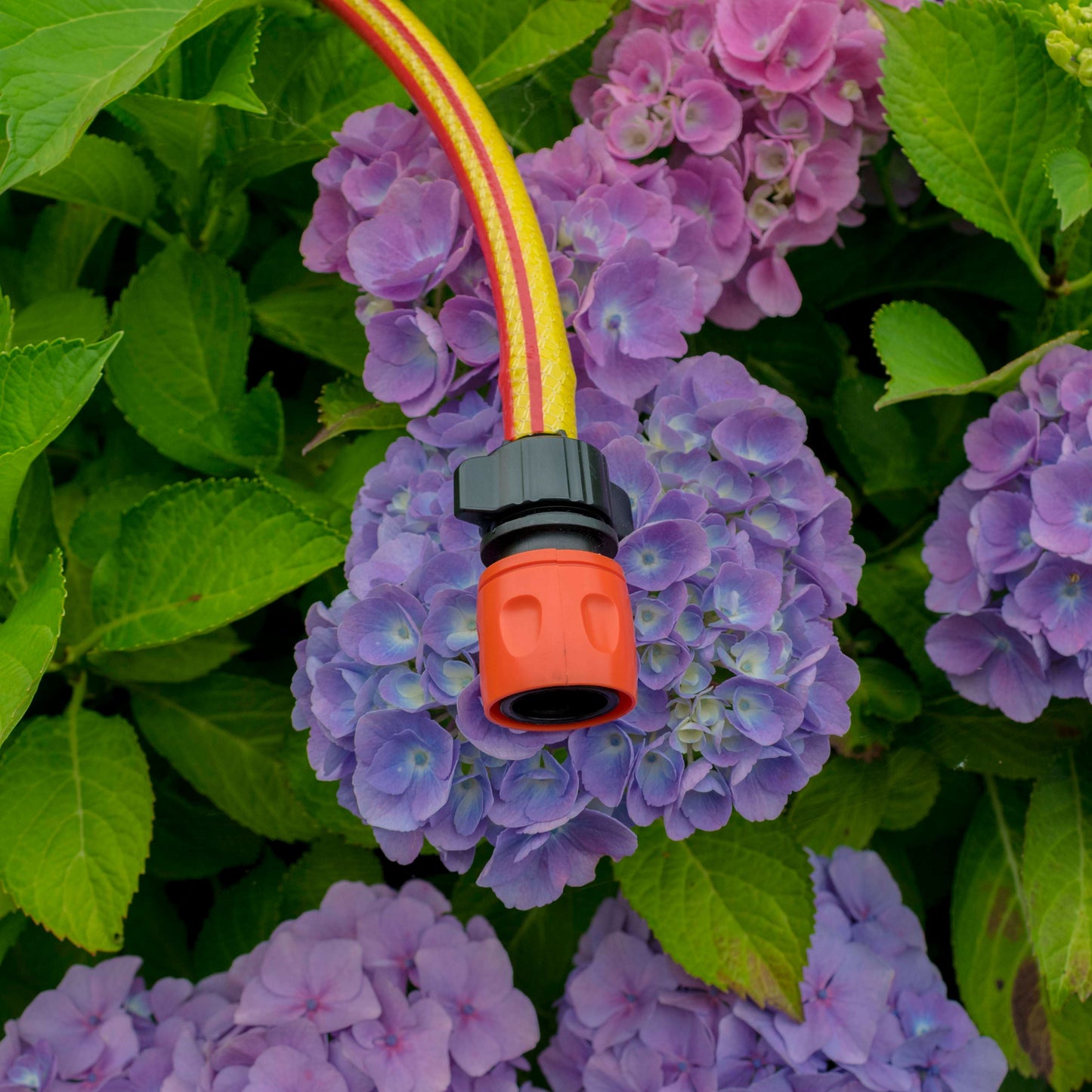 Irrigation 1/2" Barb to Female Hosepipe Quick Connector, Black