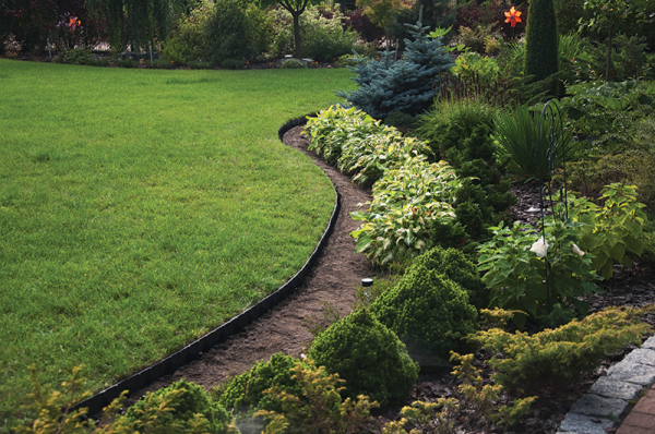 Grey Curved Lawn Edging Set with Pegs, 40mm Height