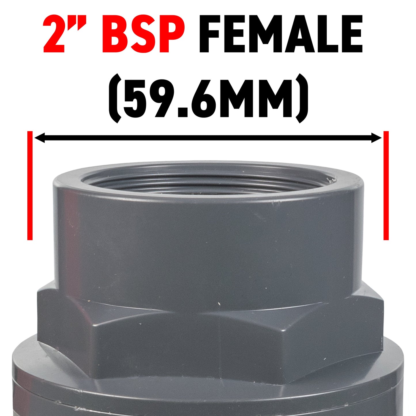 Stainless Steel Ball PP Valve & Barbed Outlet, 2"