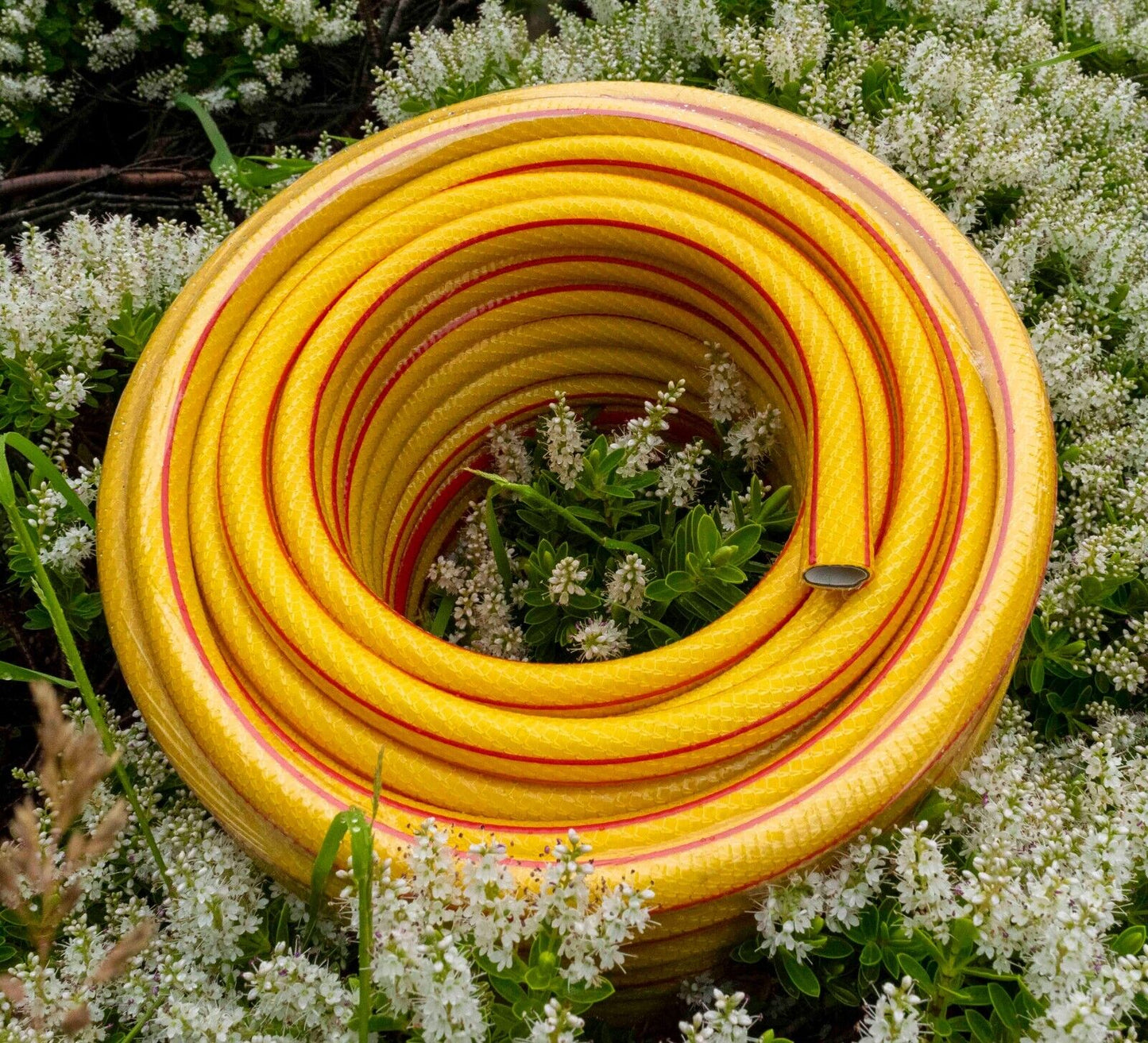 3/4" Yellow Premium Garden Hose Pipe, 6-Layers