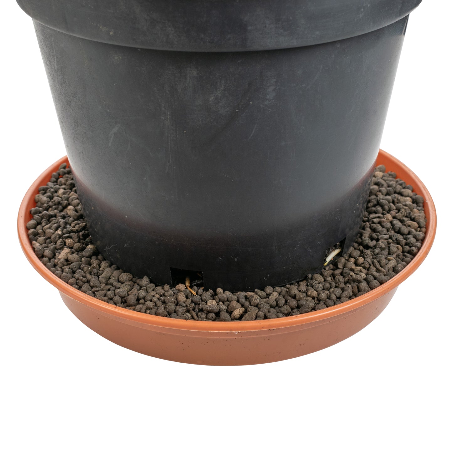 Clay Hydroponic Growing Pebbles for Plants