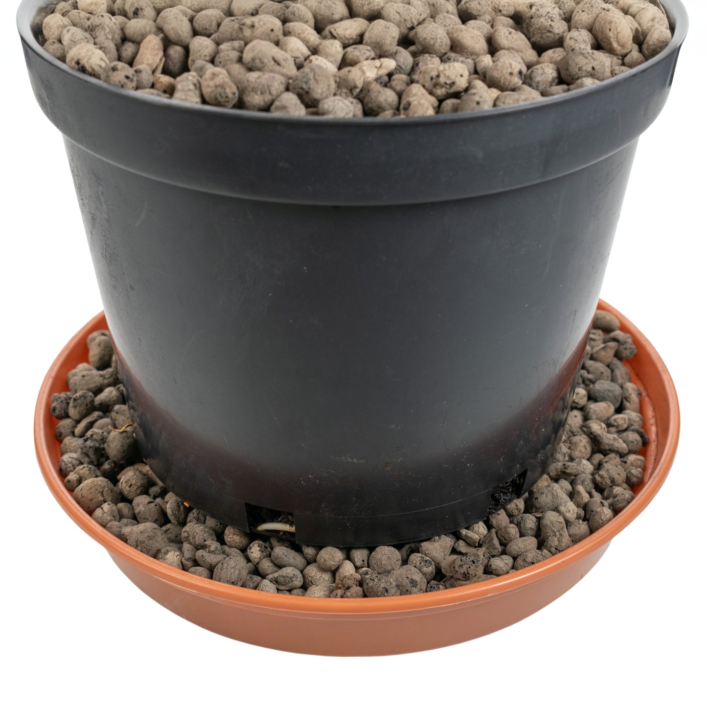 4mm - 8mm Clay Hydroponic Growing Pebbles for Plants