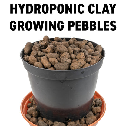 Clay Hydroponic Growing Pebbles for Plants