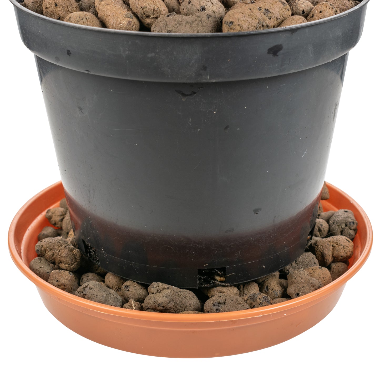 Clay Hydroponic Growing Pebbles for Plants