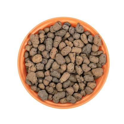 Clay Hydroponic Growing Pebbles for Plants