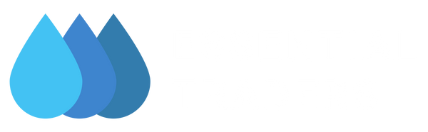Essential Online Traders