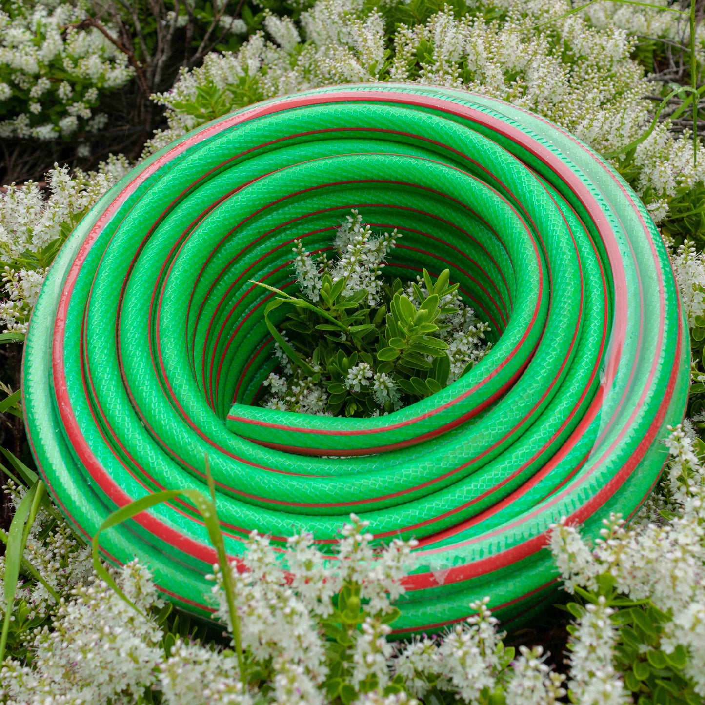 Royal Green 6 Layer Heavy Duty 1/2" Hose Pipe (1m - 100m)