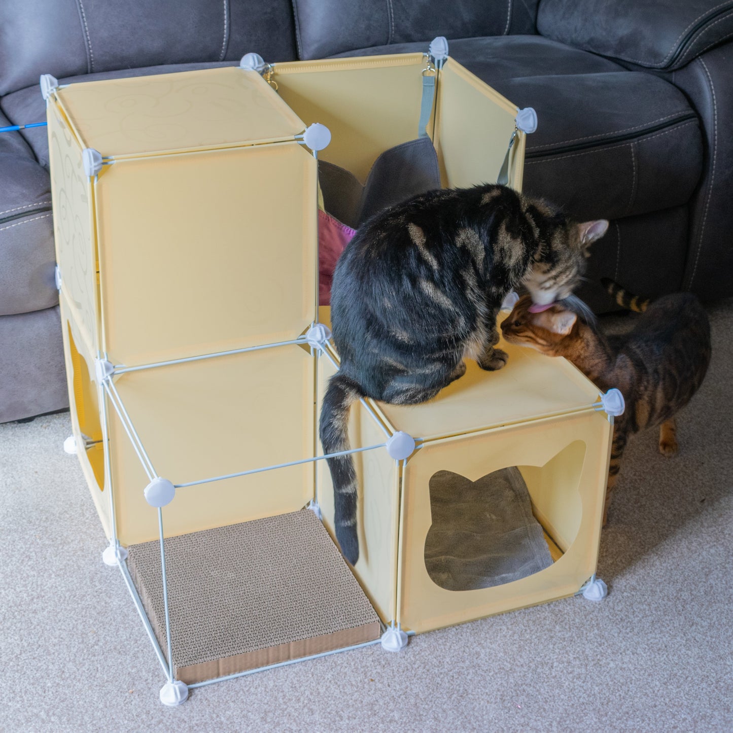 Cream Kitty Cubby Cat Cube Buildable Play Tower, Medium