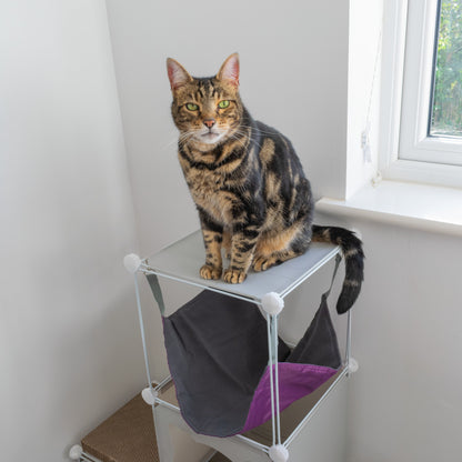 Grey Kitty Cubby Cat Cube Buildable Play Tower, Medium