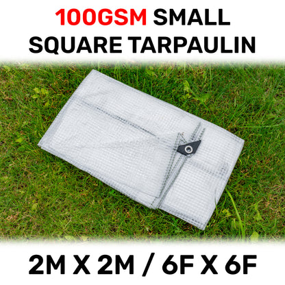 2m x 2m Clear Monotex 100gsm Tarpaulin