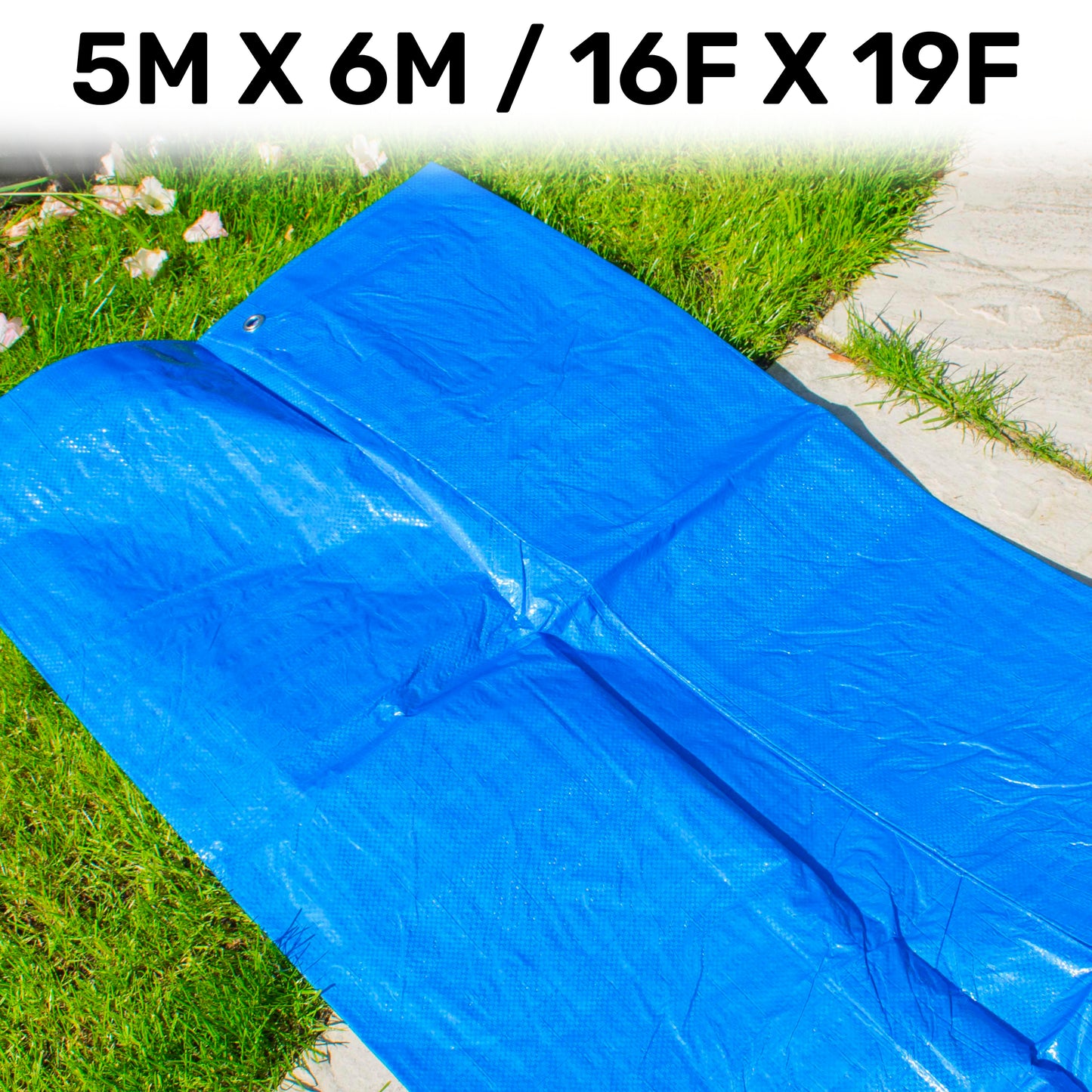 5m x 6m Blue 50gsm Tarpaulin