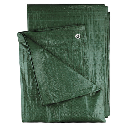 2m x 4m Green 100gsm Tarpaulin