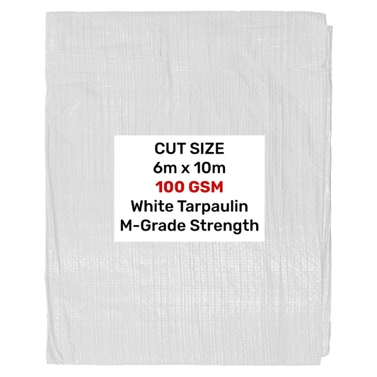 6m x 10m White 100gsm Tarpaulin