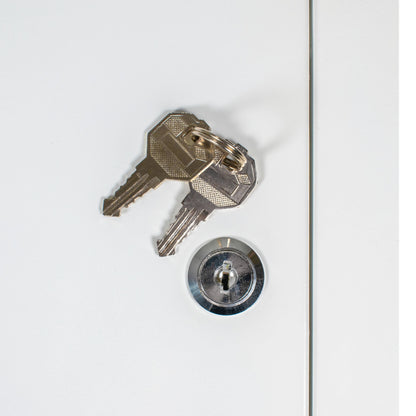 Lockable White Access Panel Service Door, 200mm x 300mm