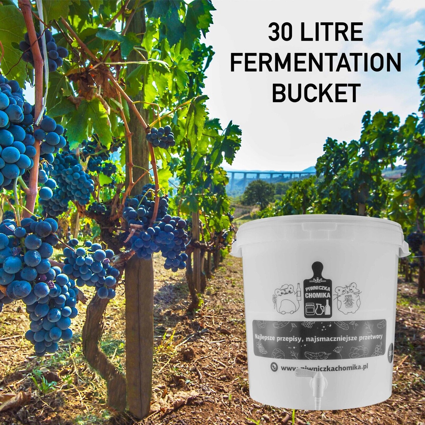 30L Fermentation Brewing Bucket with Tap & Airlock Home Brew, Wine Beer Making