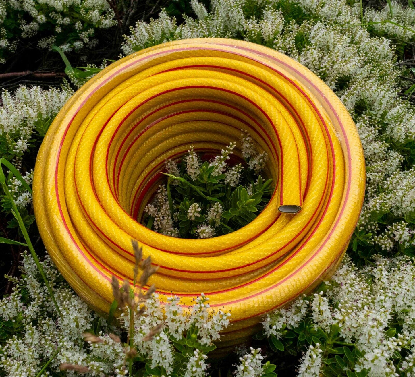 Heavy Duty Garden Hosepipes, Economy, Premium, Water Hose, Outdoor Flexible PVC 4/6 Layer