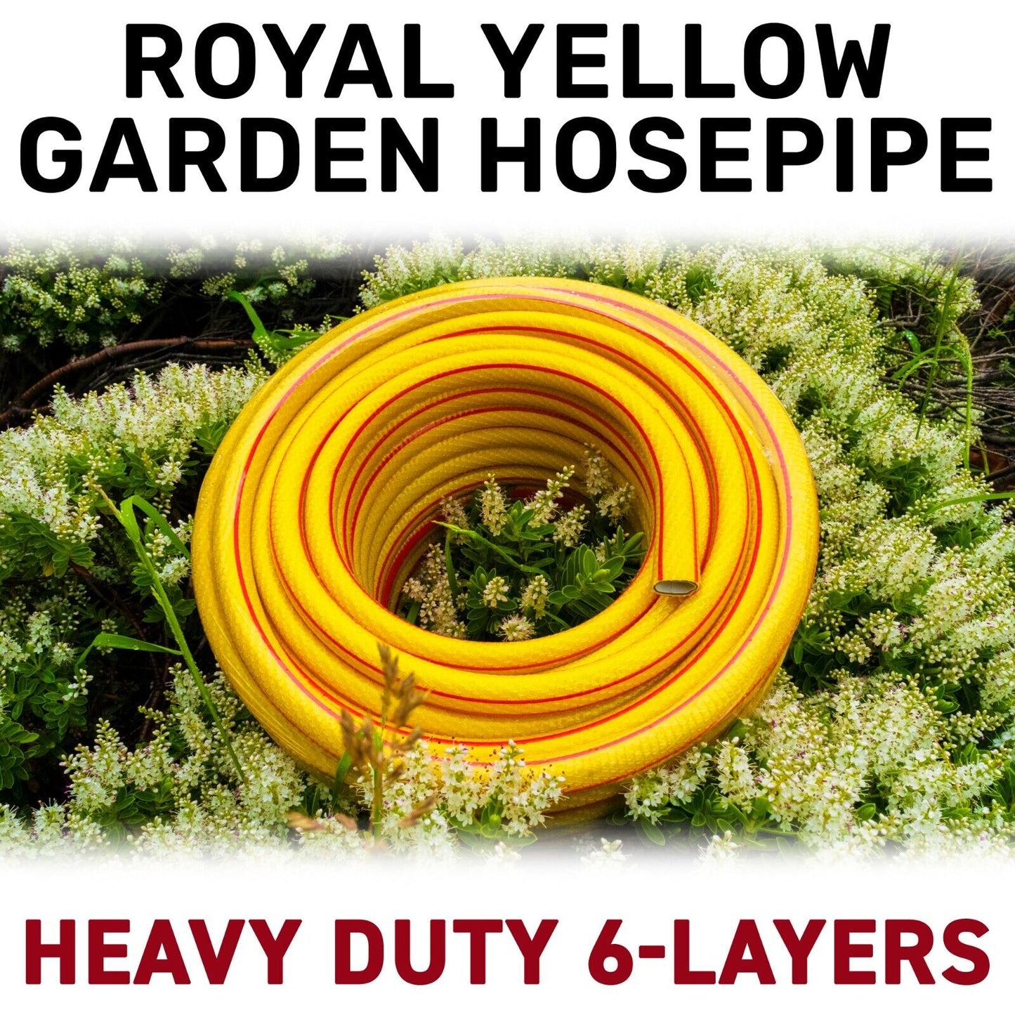 15m Royal Gold 6 Layer Heavy Duty 1/2" Hose Pipe