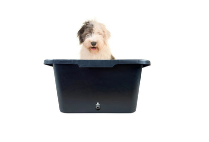 65L Medium Dog Pet Bath with Drain Valve