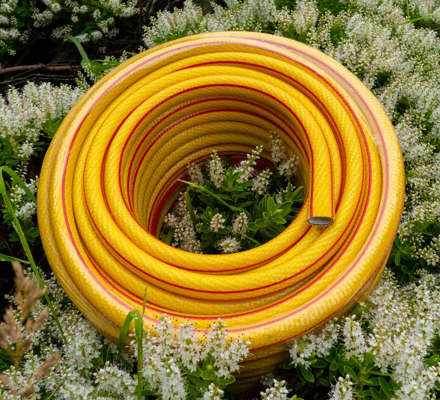 100m Royal Gold 6 Layer Heavy Duty 1/2" Hose Pipe