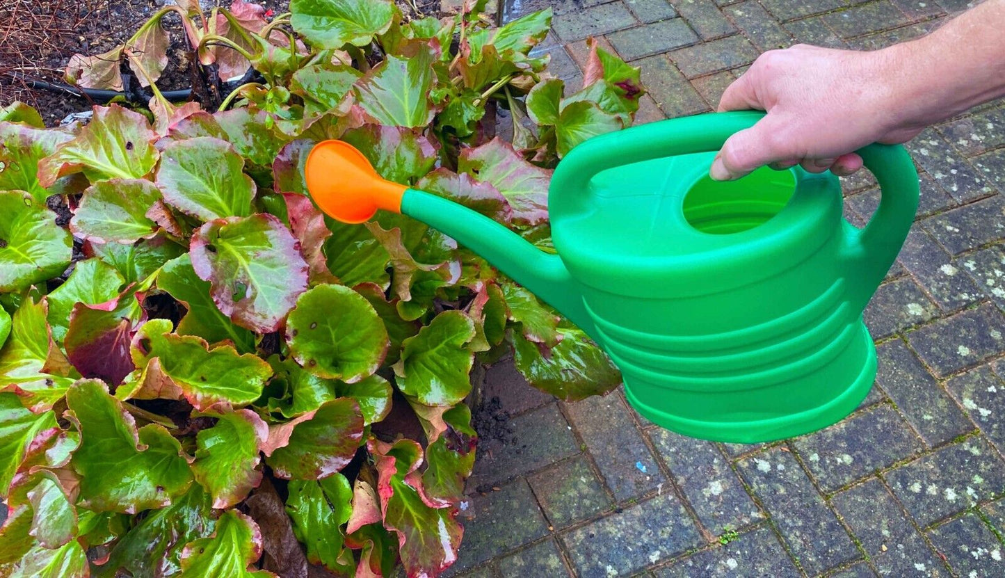 5L Green Plastic Garden Watering Can Bucket With Rose Open Sprinkler Long Spout